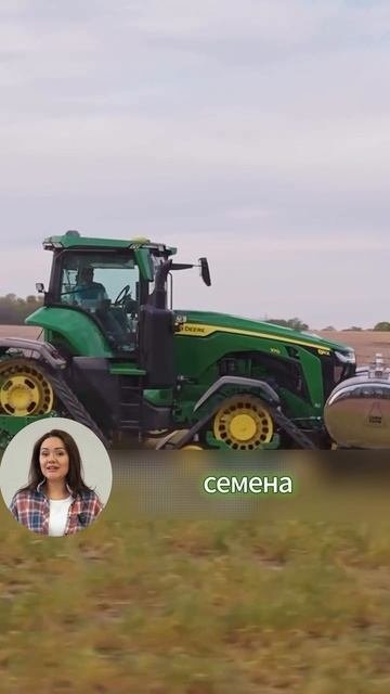 Два урожая не выезжая с поля!