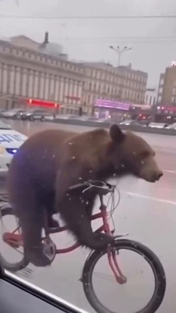 Мишка
