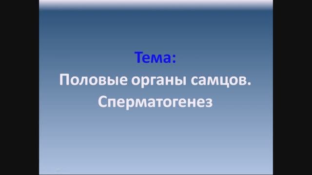 Воспроизводство 3 - Анатомия и физиология репродуктивной системы животных (самцы)