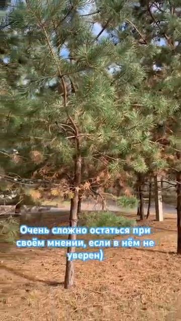 Мнение
