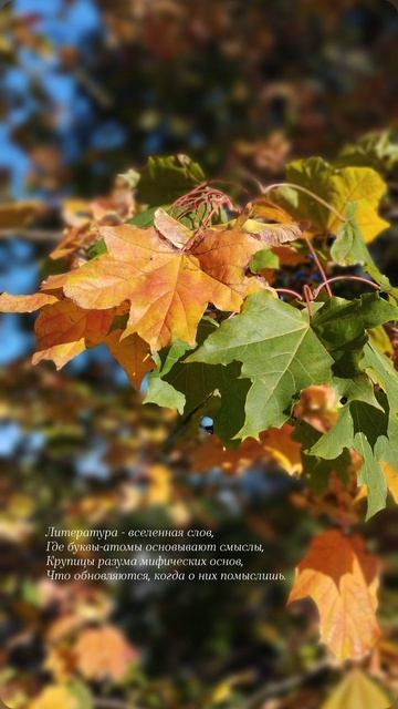 04.10.25 АЗ  #ниднябезрифмы