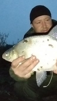 ЛЕЩ ОСЕНЬЮ РЫБАЛКА