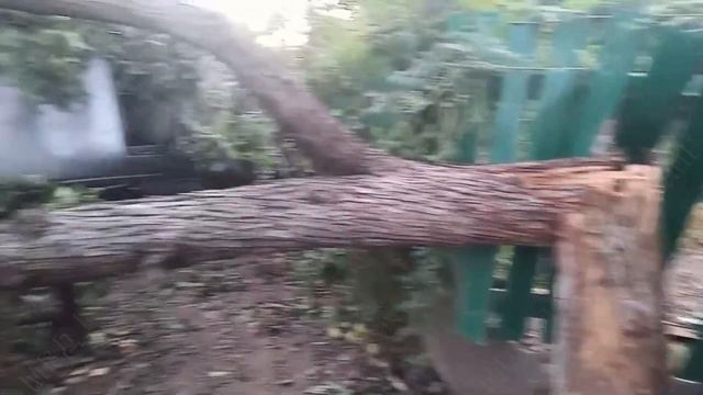 Две смерти за 24 часа