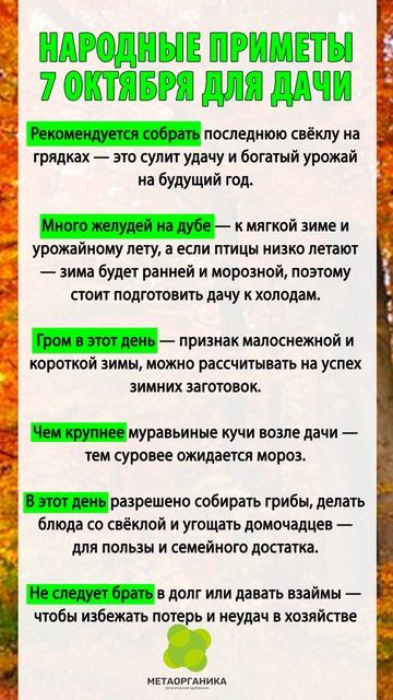 Народные приметы 7 октября для дачи