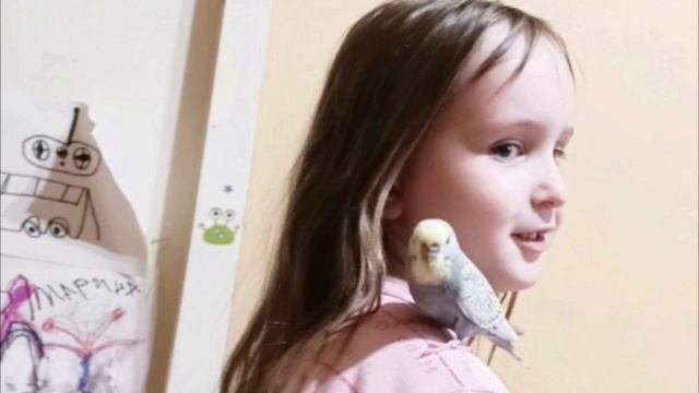 чика в первый раз сел мне на плечико