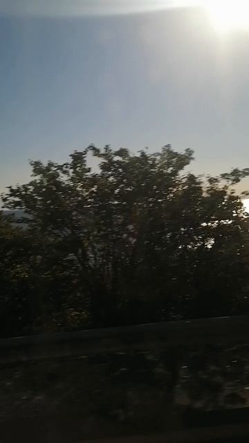 VID_20251006_152143.mp4