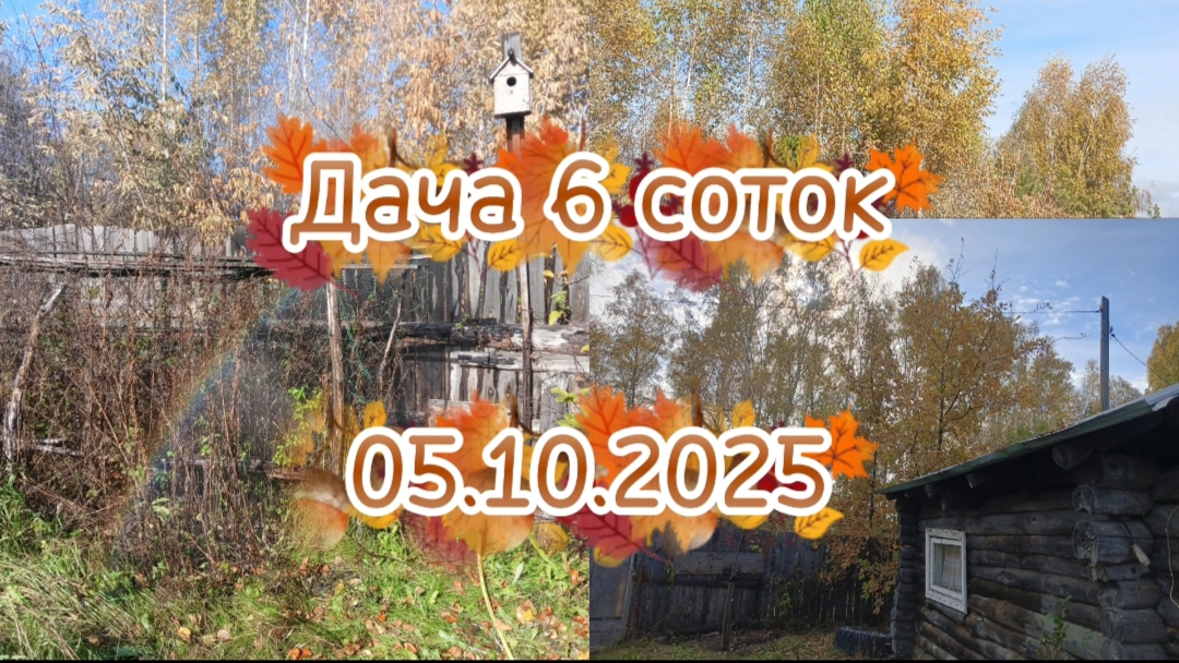 ДАЧА 6 СОТОККУРИЦА ОКАЗАЛАСЬ ПЕТУХОМФИНИШ ДАЧНОГО СЕЗОНАЗАБРОШЕННАЯ ДАЧА