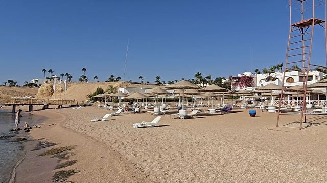 Domina coral bay kings Шарм эль Шейх пляжи