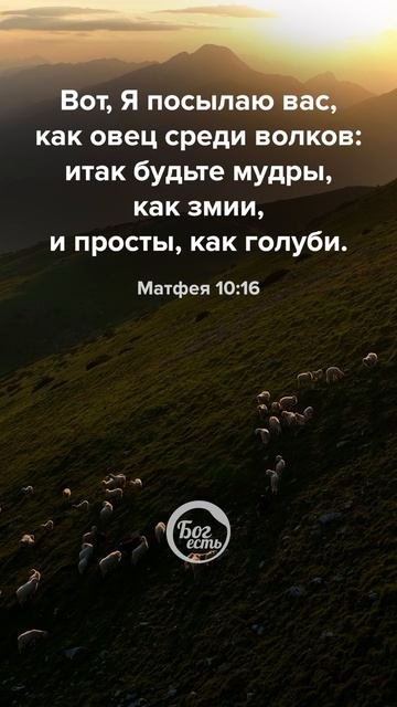 Матфея 10:16