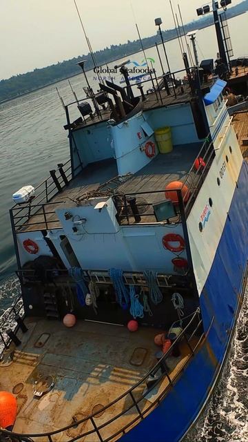 Салмон тендер возвращается из Аляски | Флот Trident Seafoods | DJI AvataПосле долгого и успешного