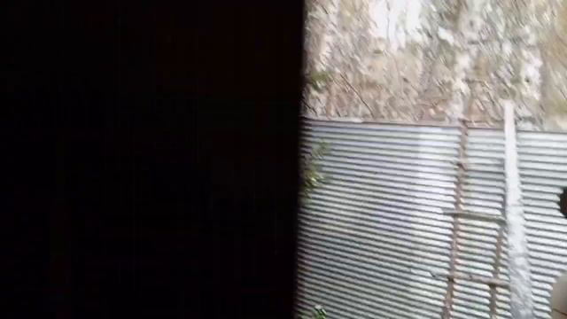 запасаются белки