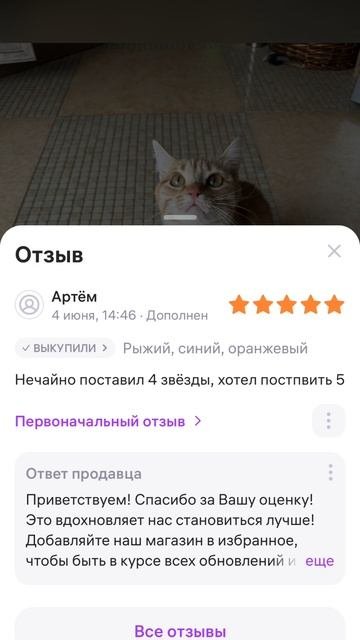 Симбочка жив 😱😱😱