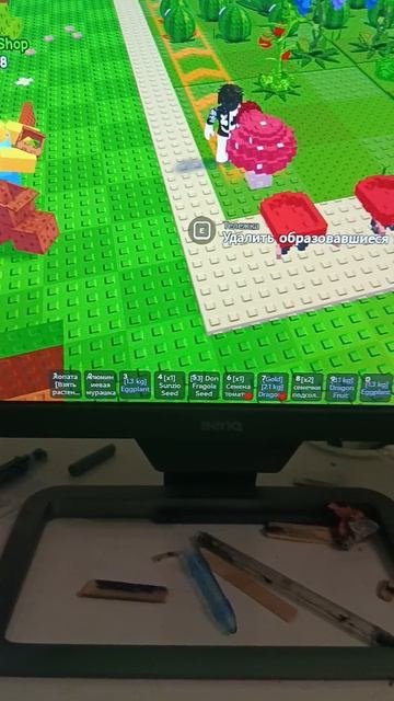 1000003016.mp4
