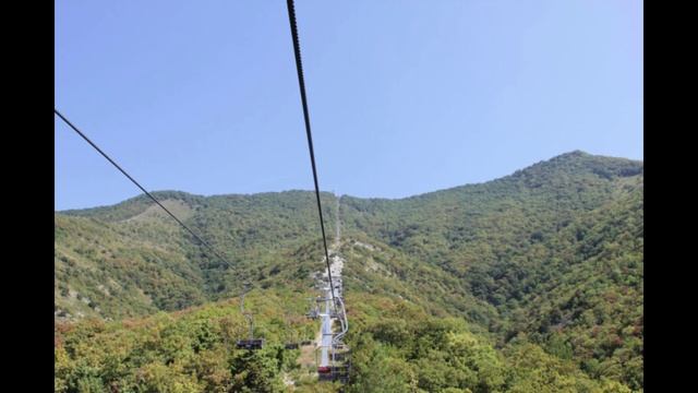 Геленджик 2022