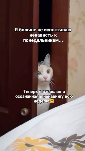 🌏 С понедельником!