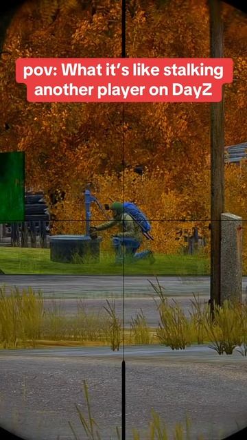 #dayz#dayzpvp#dayzrp#survival#rutube