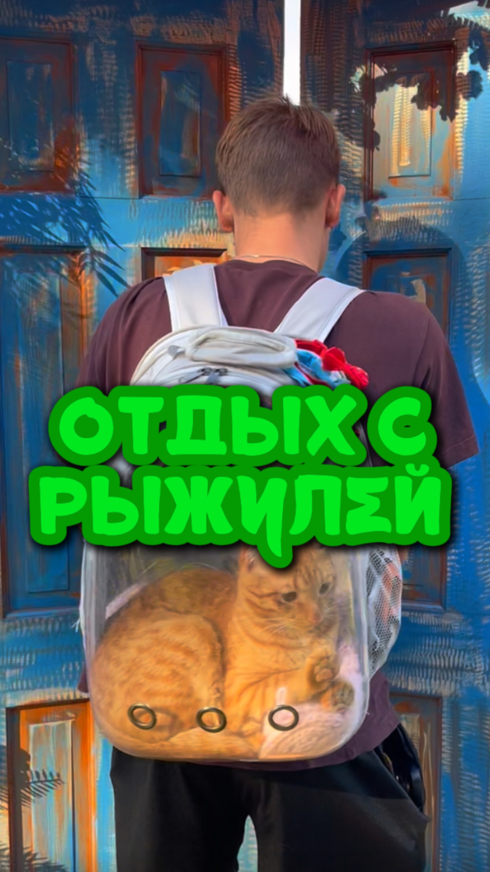 На отдыхе с Рыжулей 🐈
