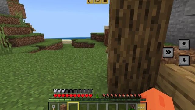 1000014499.mp4