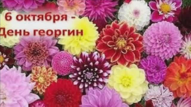 6 ОКТЯБРЯ.СЕГОДНЯ ДЕНЬ ГЕОРГИНА.ГЕОРГИН-ОСЕННИЙ ГОСПОДИН!