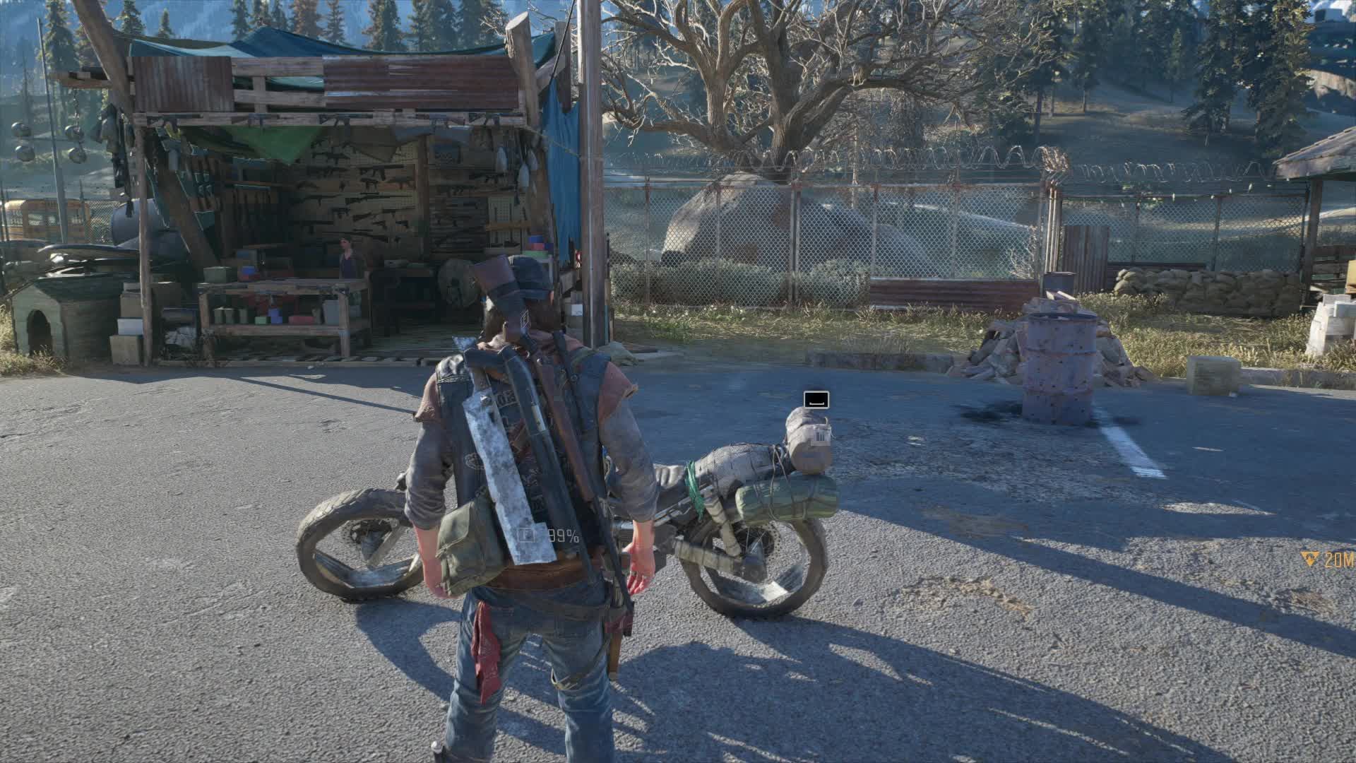 Days Gone 24
