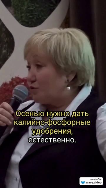 Видеомарафон Академии питомниководства
