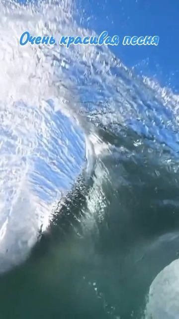 1000022298.mp4