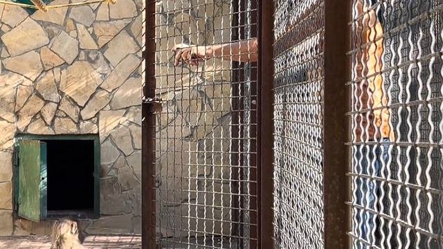 УРАА! Люська ПРИШЛА В ГОСТИ к Степке, Мане и Тосе! Все малыши КИНУЛИСЬ И ОБЛЕПИЛИ нашу Люсю!