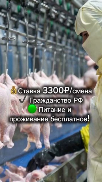Заполняй анкету по ссылке в шапке профиля!