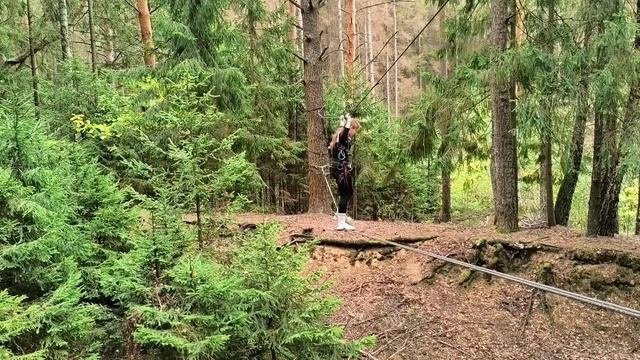 показ