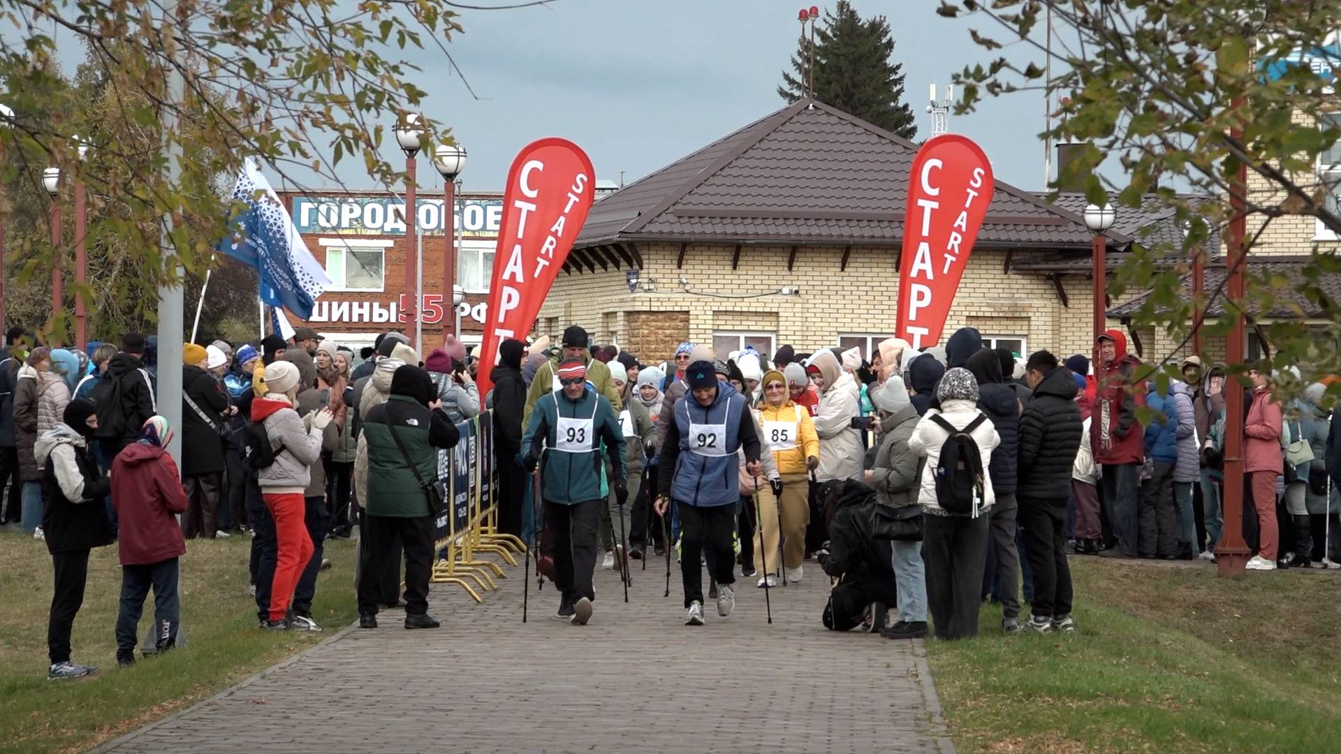 День ходьбы 2025