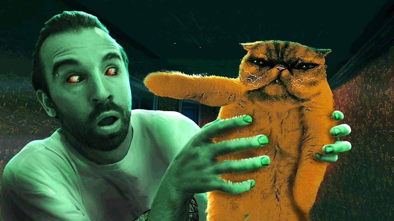 КОТИК ПОКАЖЕТ, КТО ПРИШЕЛ в гости. Нет, я не человек