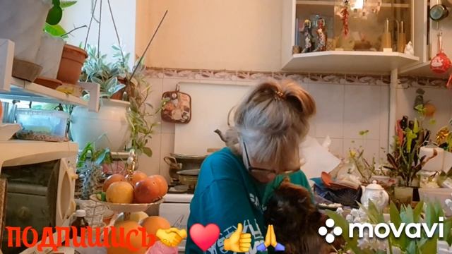 1000011563.mp4. 🖋️🚀  БОЛТУШКИ ПОД КОФЕЁК,ПРОБУЕМ ВКУСНЯШКИ💃🔥 МОИ БУДНИ 🖋️🚀