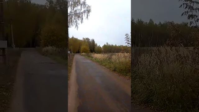 ☆Всем доброго утра друзья , прогулка с Зевсом