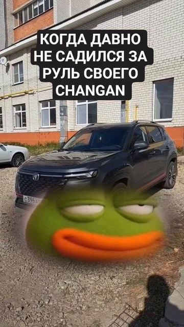 Когда давно не сидел за рулём своего китайца changan