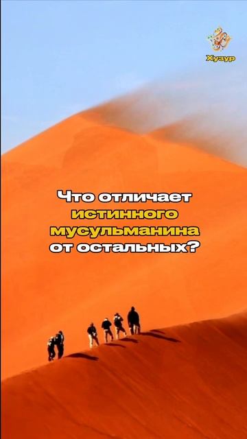 Что отличает истинного мусульманина от остальных?