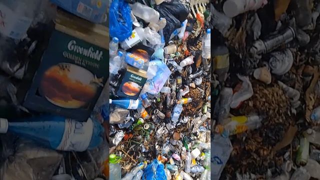 Я на мусорке