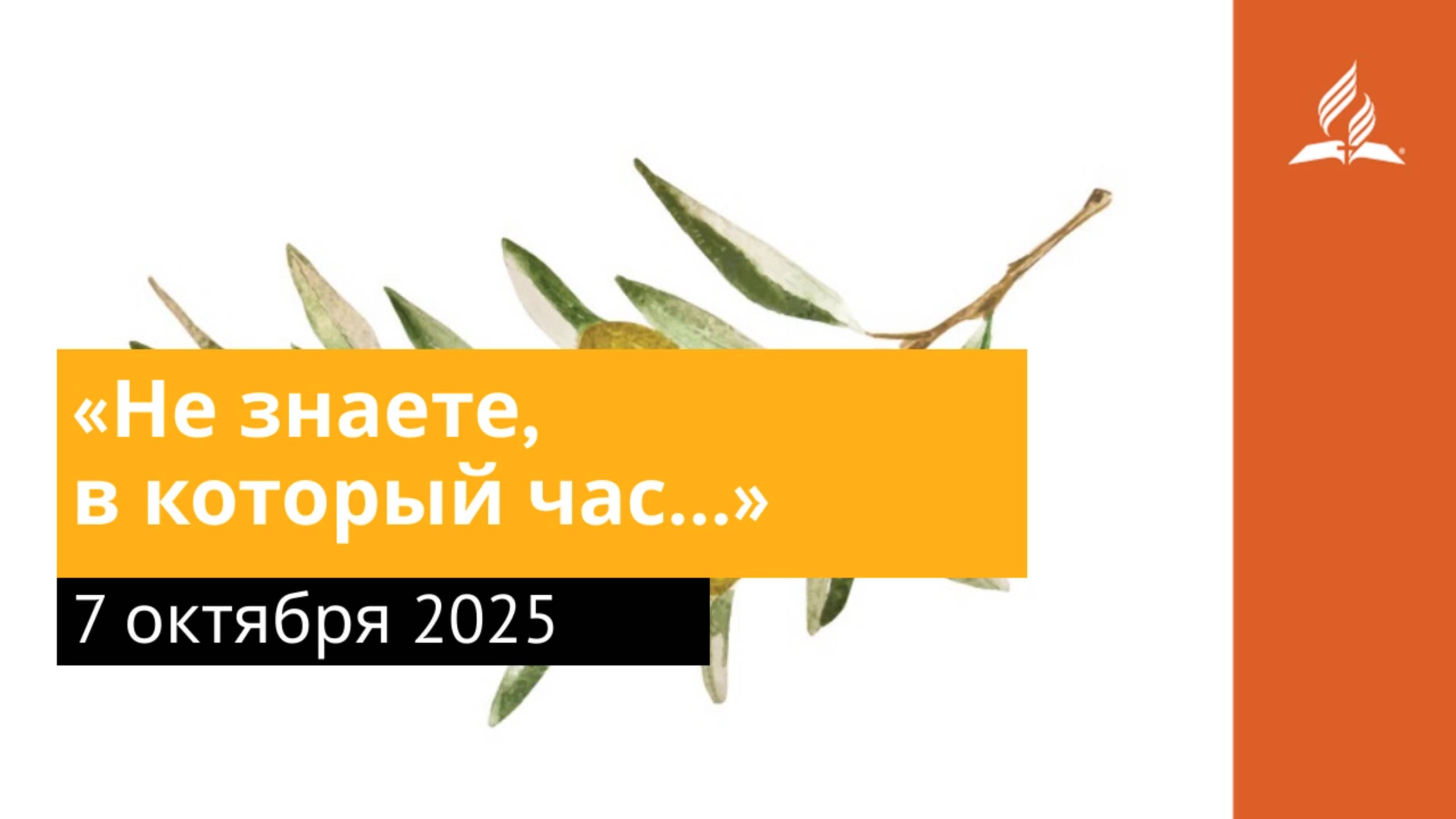 7 октября 2025. «Не знаете, в который час…». Под сенью благодати