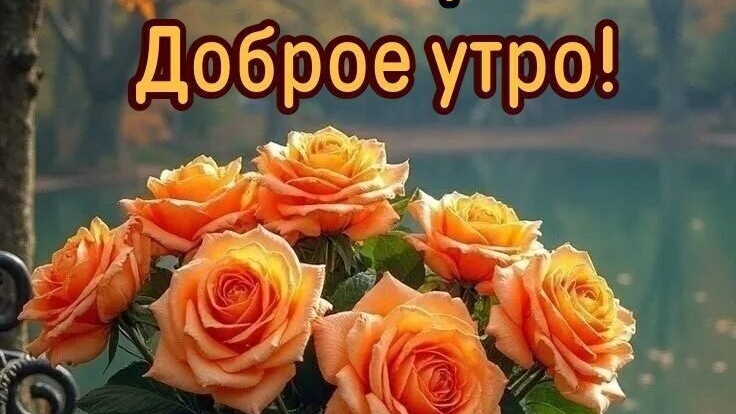 Доброе утро💖 Желаю чудесного настроения💖🎀