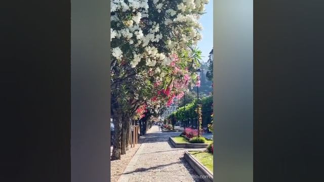 Любовь наш космос. Видеомонтаж Елена Мельникова.