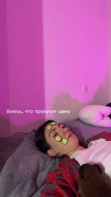 Пранкую хрюшу