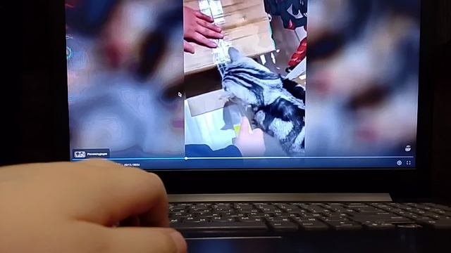 смотрю самые смешные видео юмор и приколы