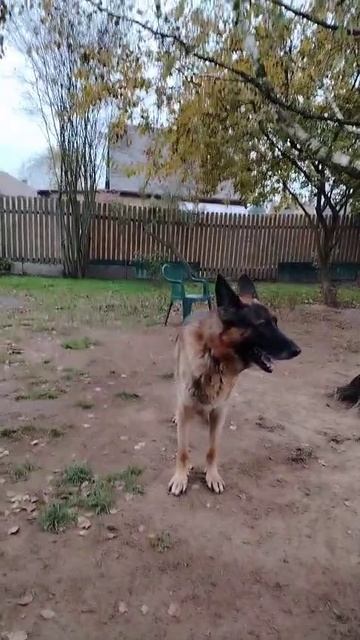 Дон
