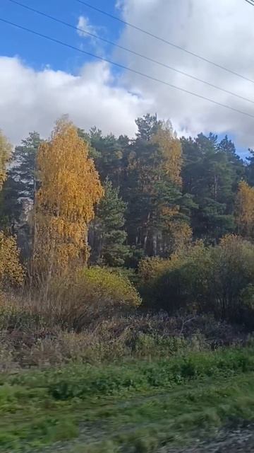 Еду нянчится с питомцами на 10 дней.