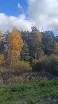 Еду нянчится с питомцами на 10 дней.