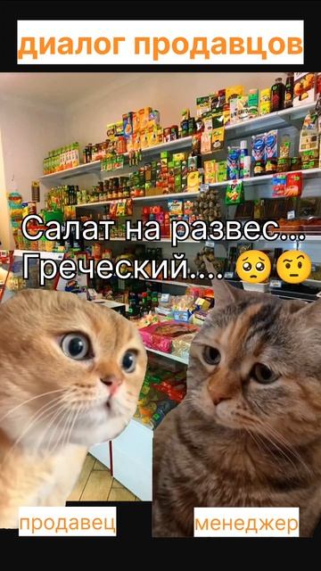 сериал ДваКота товароведам на заметку зачётный лайфхак коты юмор анекдот смешныекоты ржак