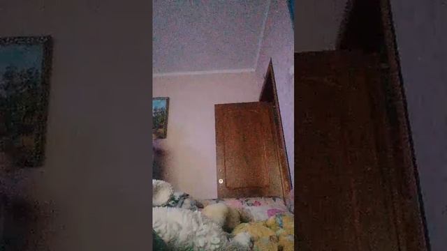 дзд