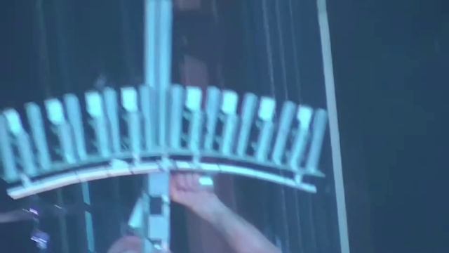 Диана Анкудинова, Rammstein - Du Синева (Mood video)