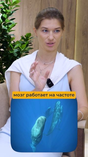 ЖМИ👉Эти Существа помогают Планете