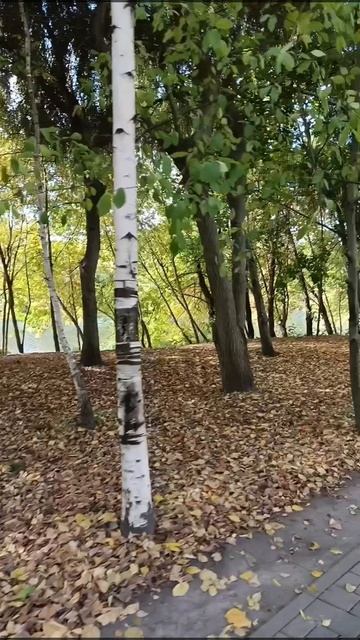 Детство в городе 