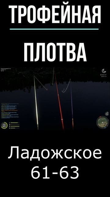 Трофейная Плотва. озеро Ладожское. Russian Fishing 4. Русская рыбалка 4. рр4. #рыбалка